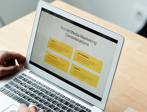 Web Development (WordPress)