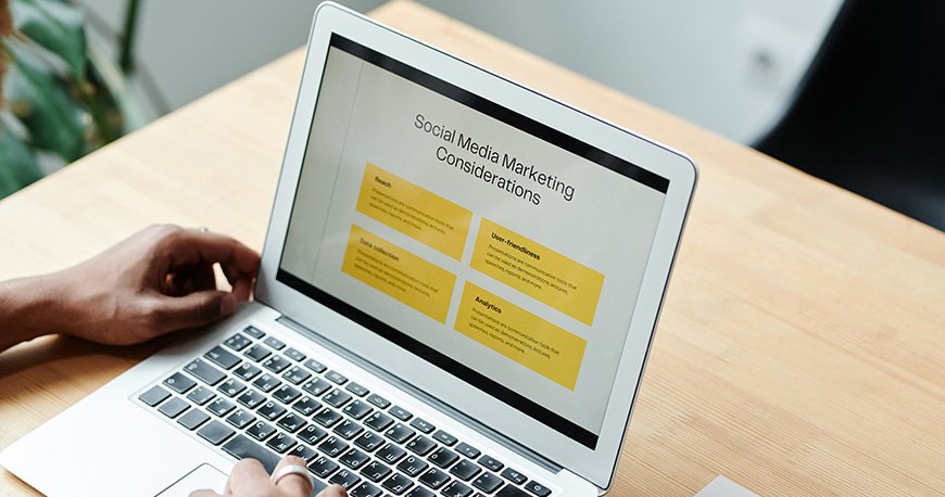 Web Development (WordPress)